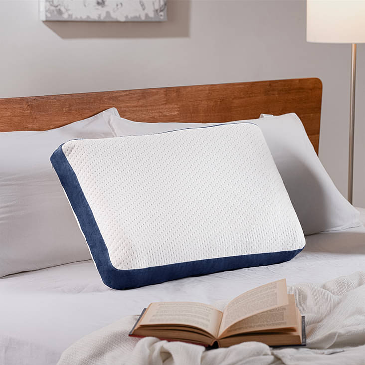 Sleep Innovations Contour Memory Foam Standard Pillow  - Best Buy