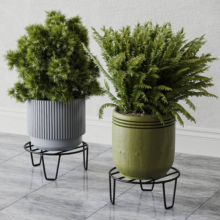 22+ Indoor Plant Display Ideas