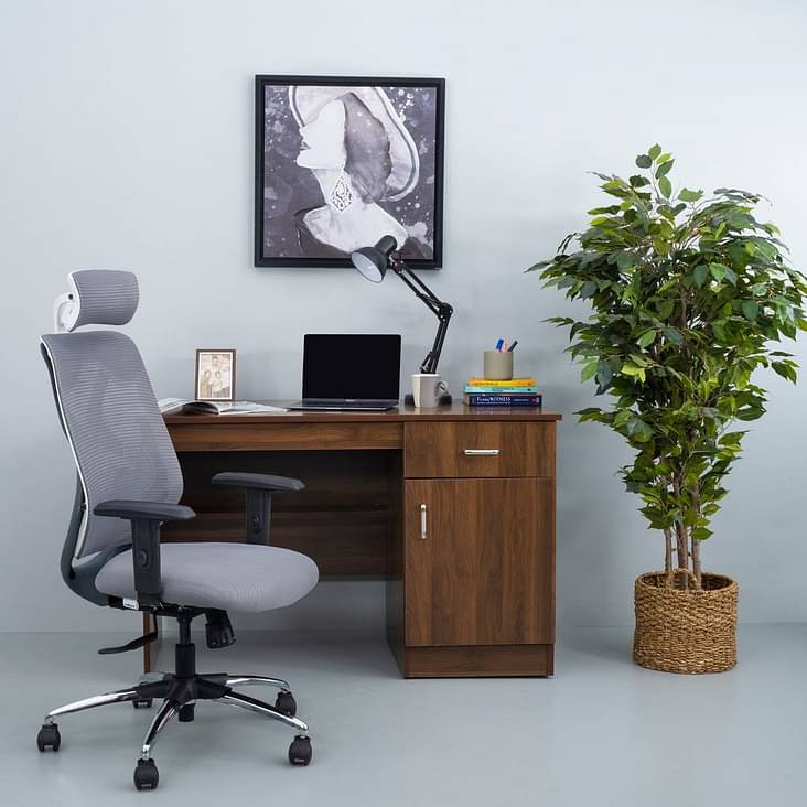 Office Chairs: Buy Ergonomic Office Chairs Online at Best Prices starting  from Rs 4732 | Wakefit