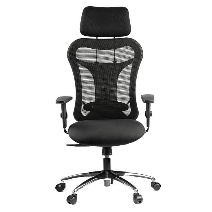 Office Chairs: Buy Airavat High Back Ergonomic Office Chairs Online at Best  prices starting from Rs 17849 | Wakefit