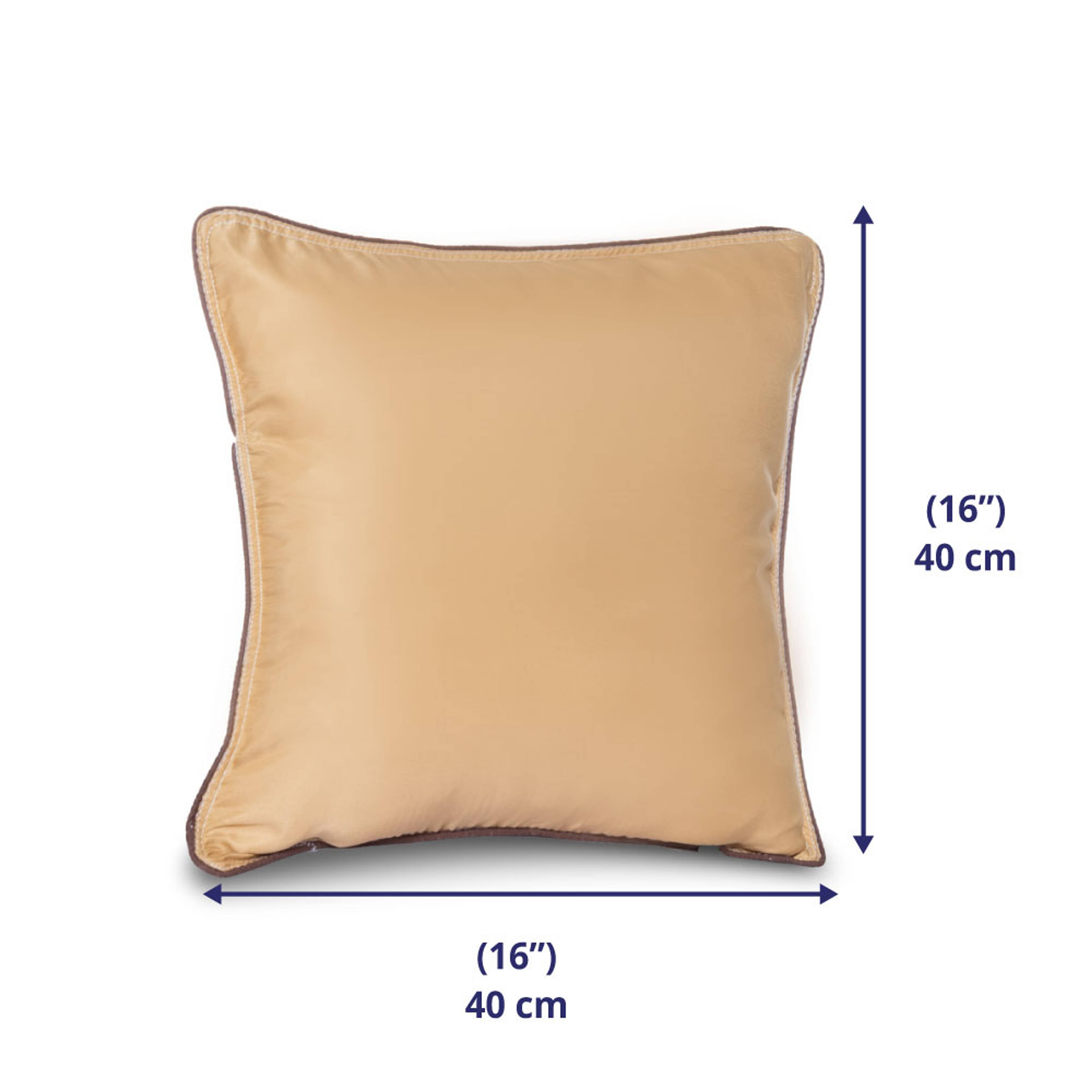 img/cushions/16x16/Beige.jpg